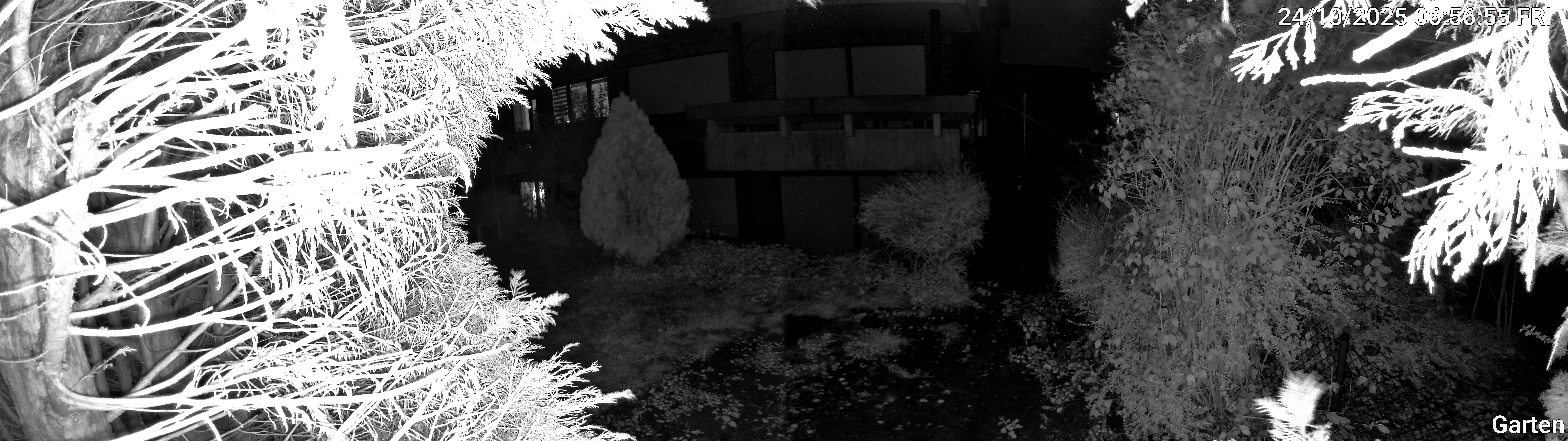 Garten_00_20251024065655.jpg