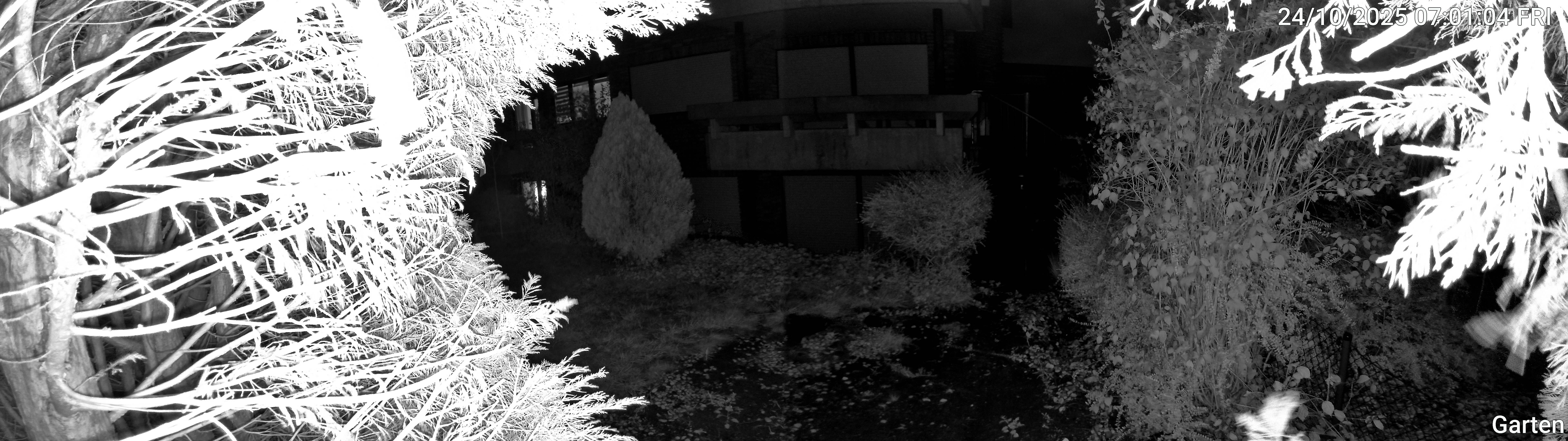 Garten_00_20251024070104.jpg