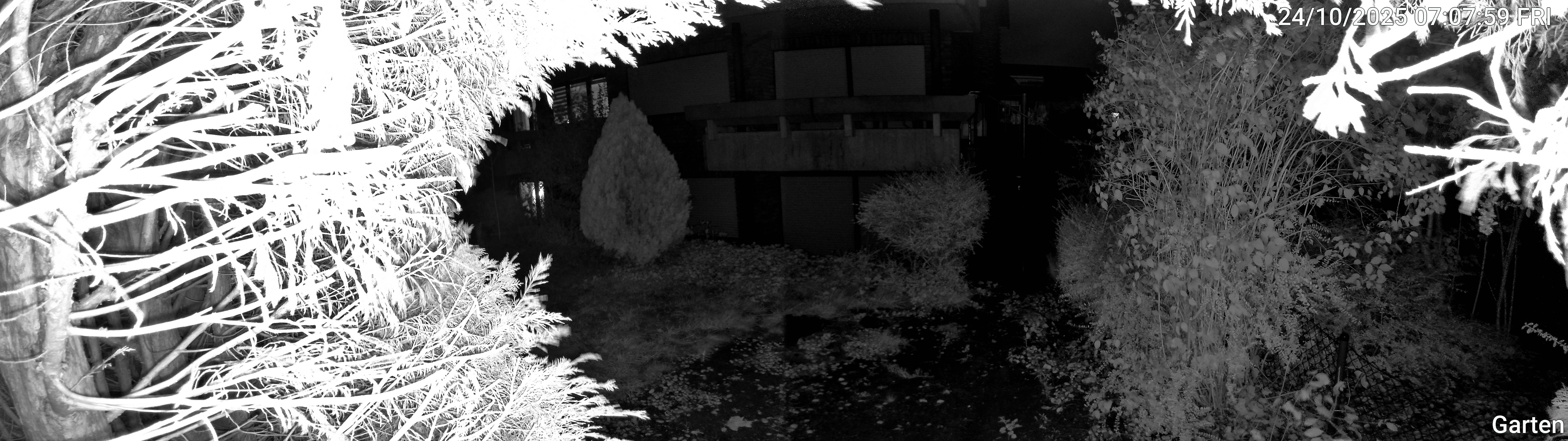 Garten_00_20251024070759.jpg