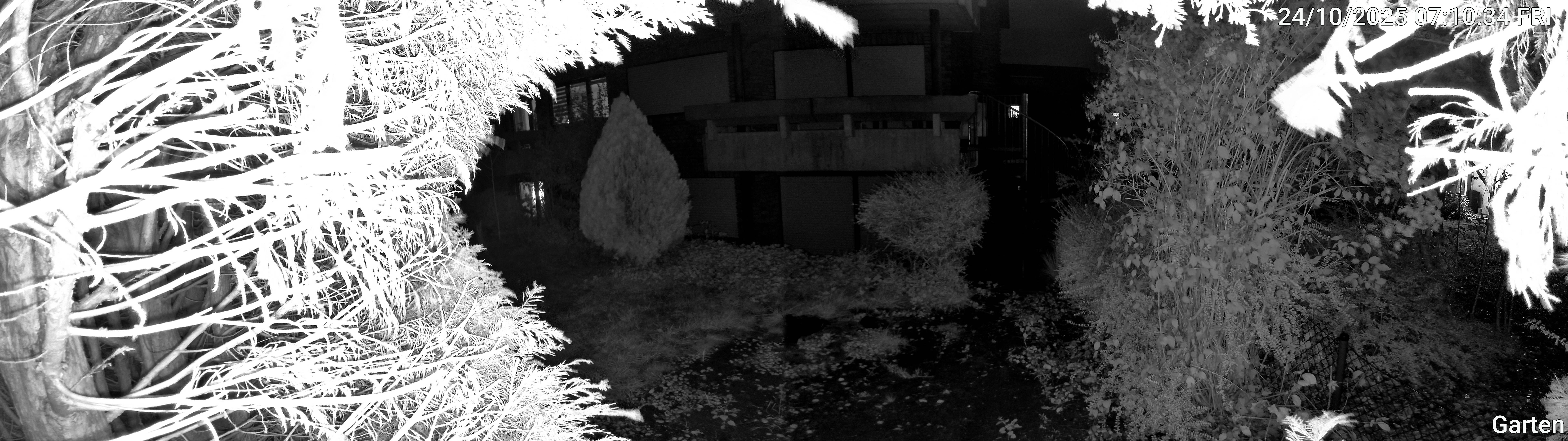 Garten_00_20251024071034.jpg