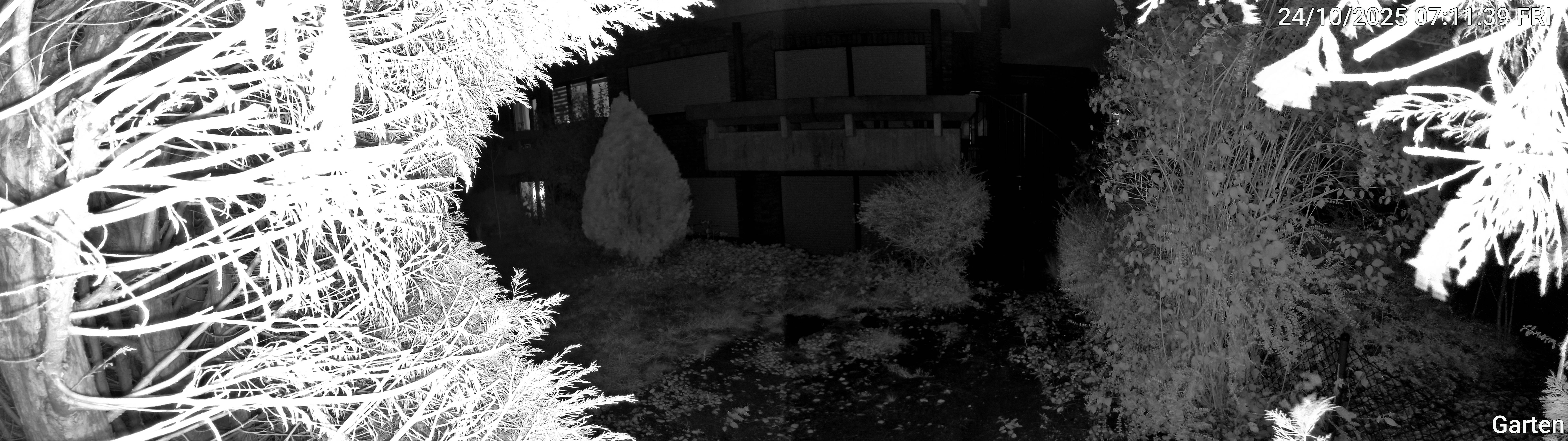 Garten_00_20251024071139.jpg