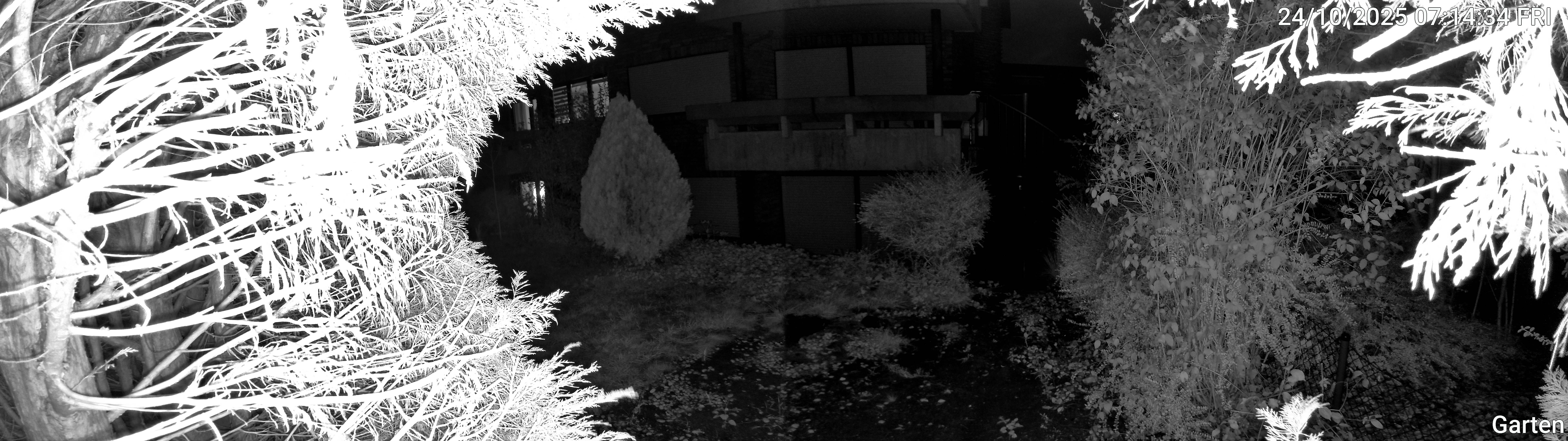 Garten_00_20251024071435.jpg