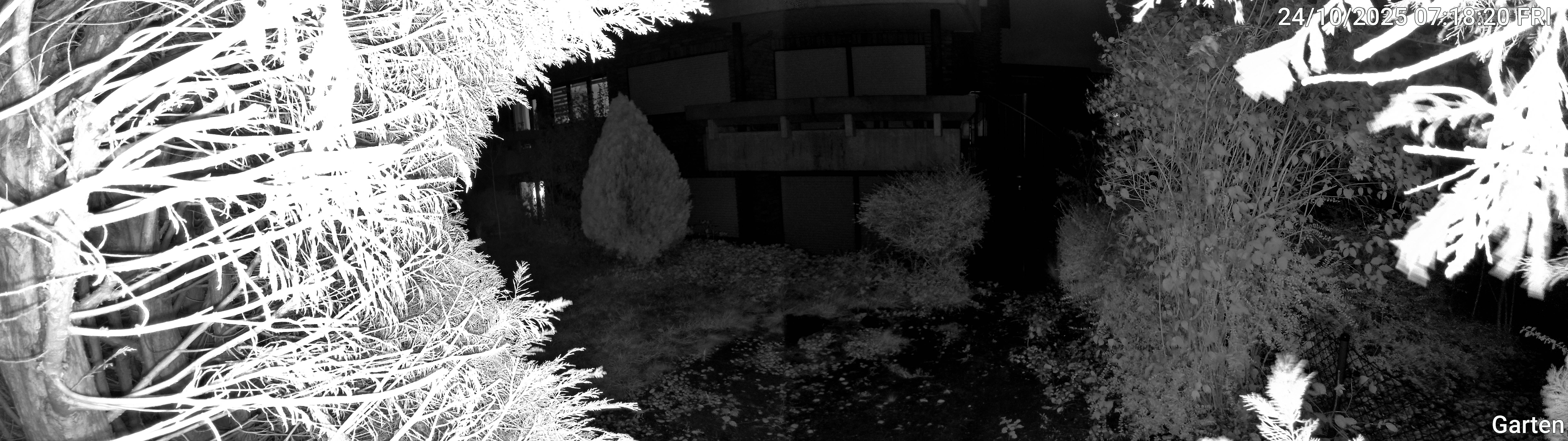 Garten_00_20251024071820.jpg