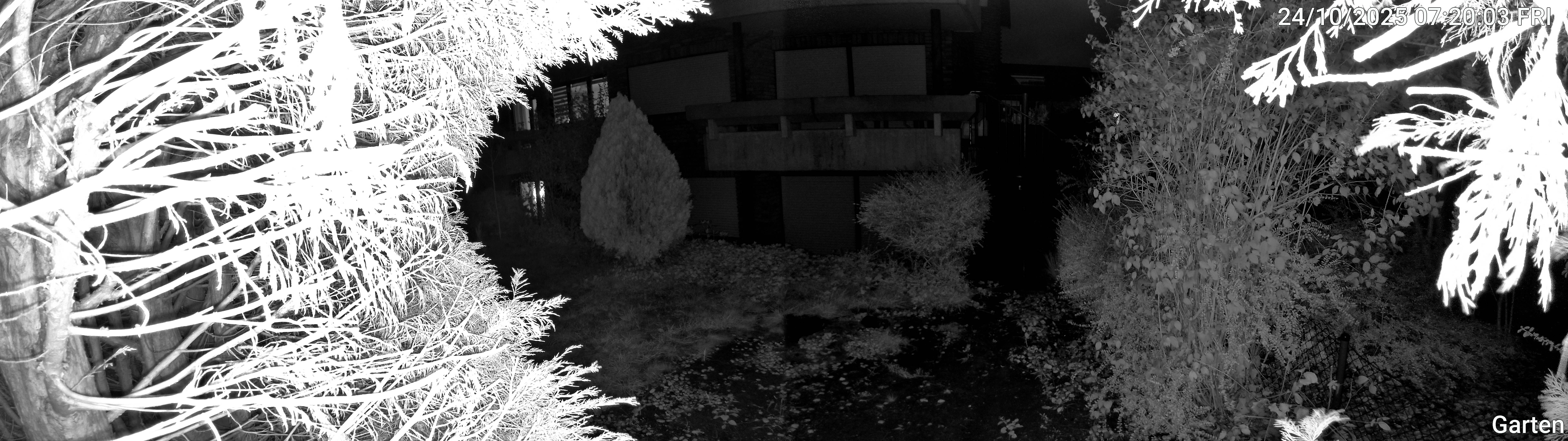 Garten_00_20251024072004.jpg