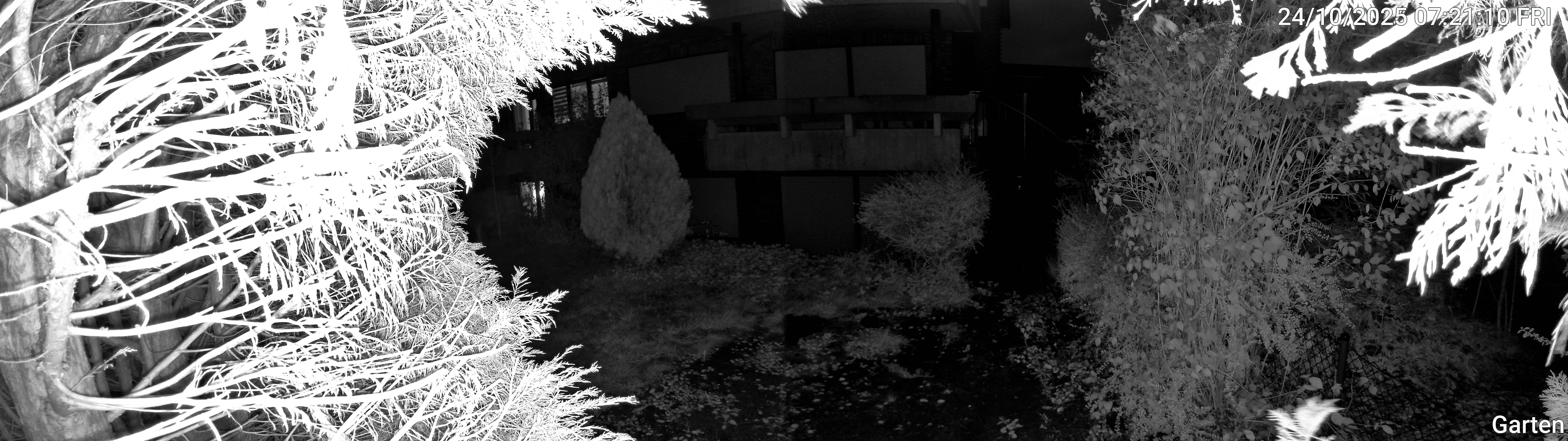 Garten_00_20251024072110.jpg