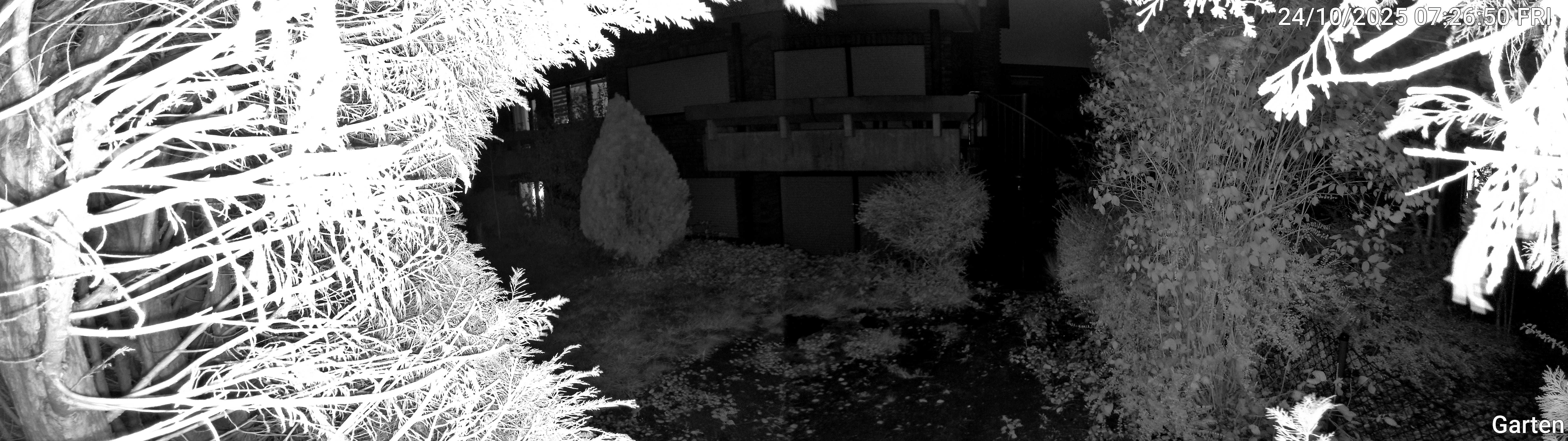 Garten_00_20251024072650.jpg