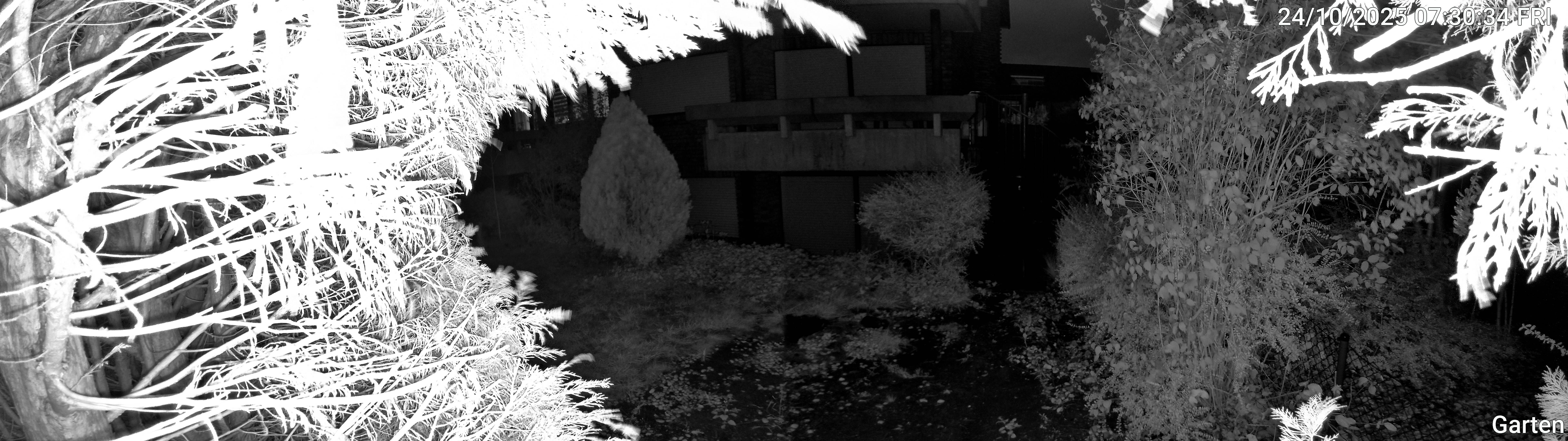 Garten_00_20251024073034.jpg