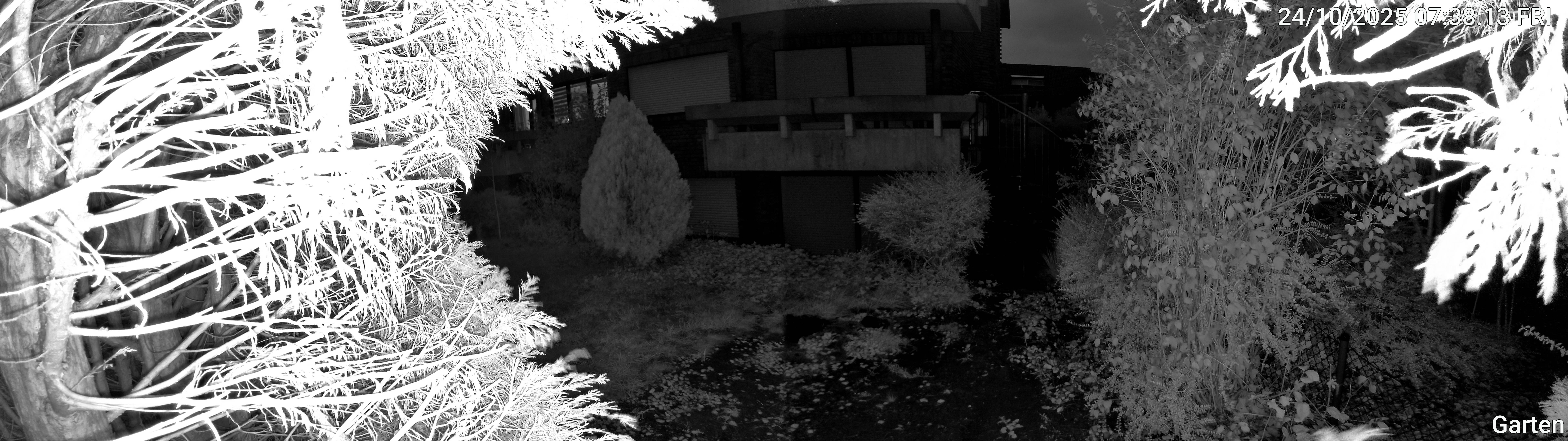 Garten_00_20251024073813.jpg