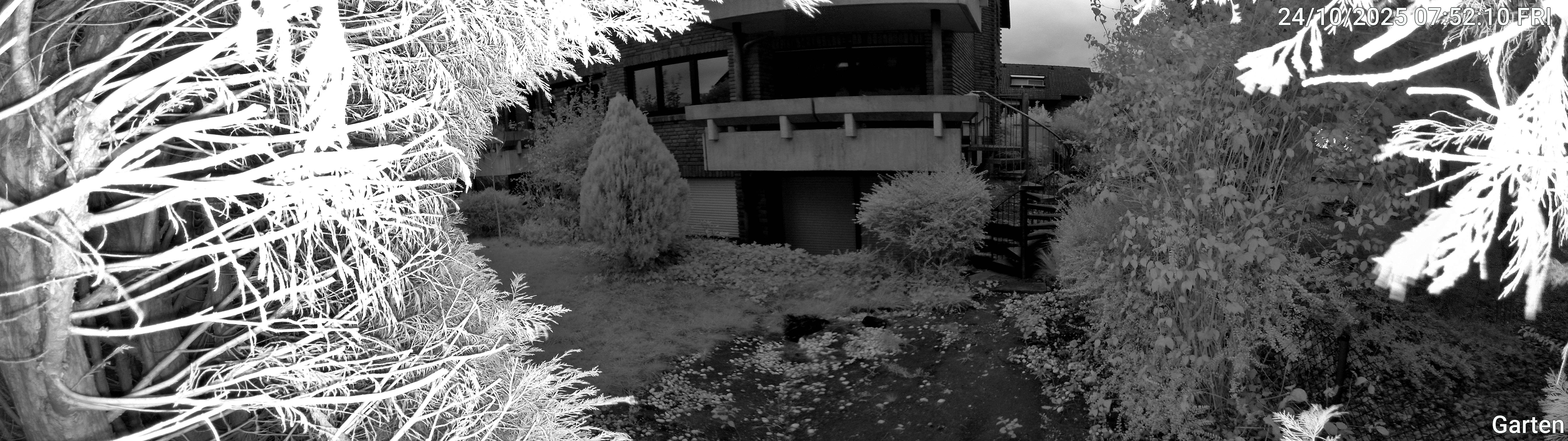 Garten_00_20251024075210.jpg