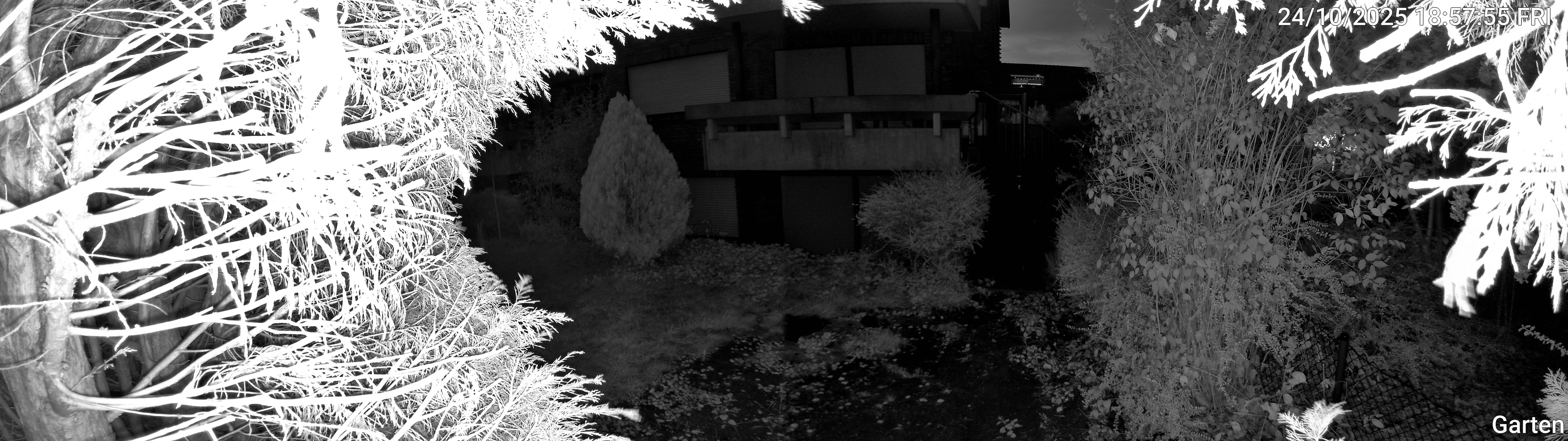 Garten_00_20251024185755.jpg