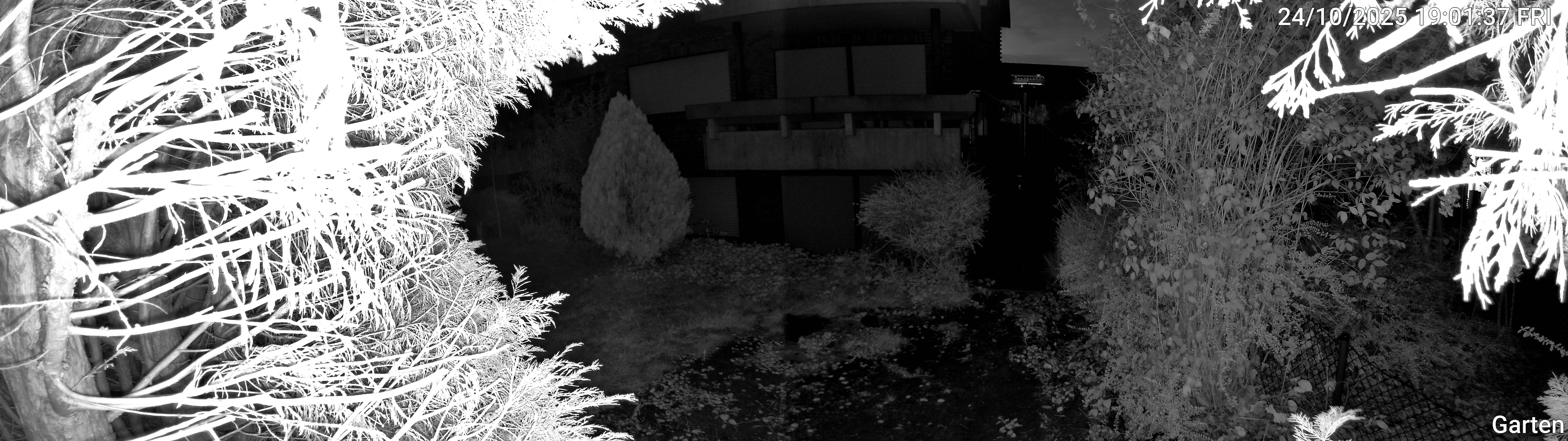 Garten_00_20251024190137.jpg