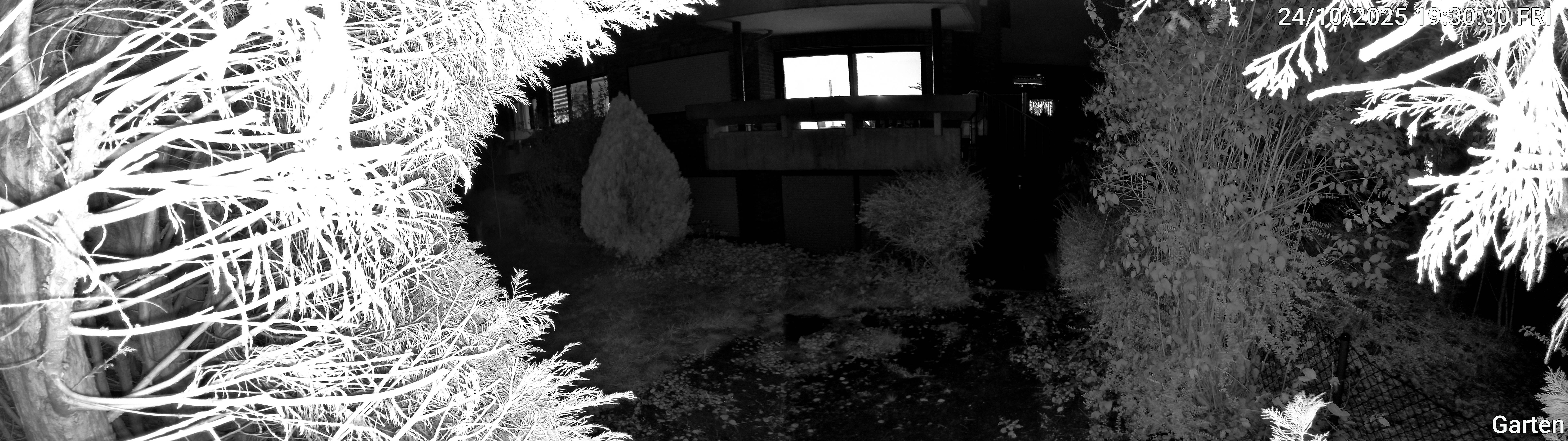 Garten_00_20251024193030.jpg