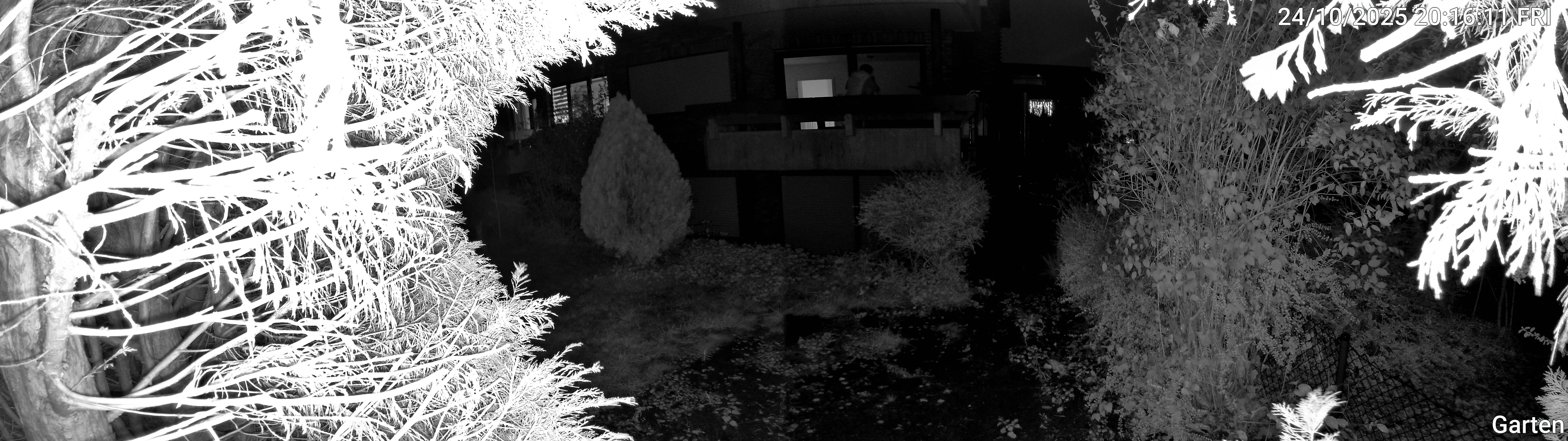 Garten_00_20251024201611.jpg