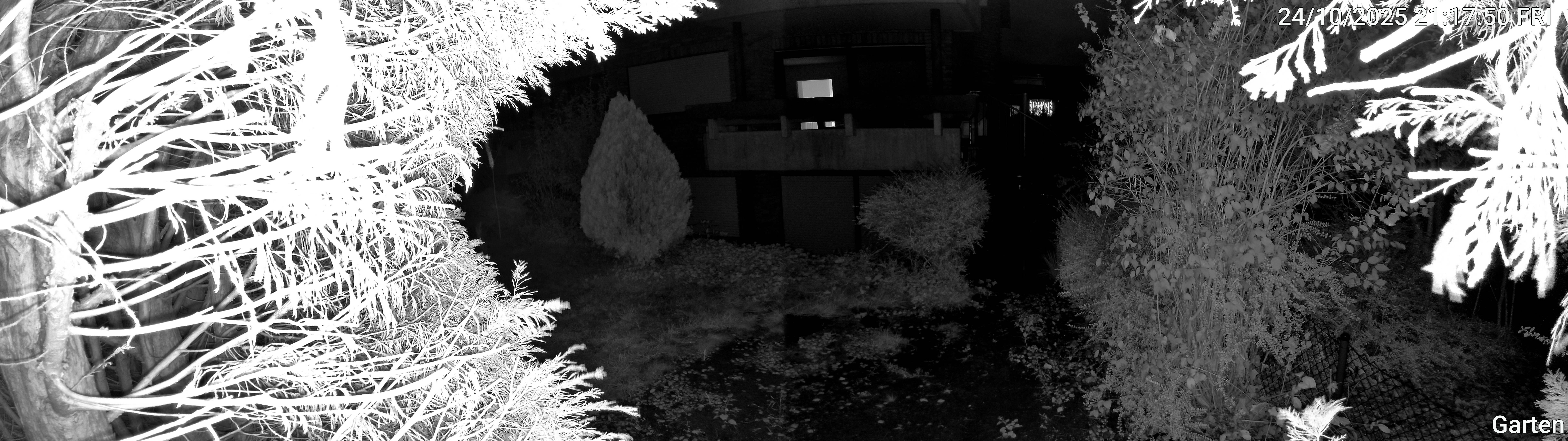 Garten_00_20251024211750.jpg