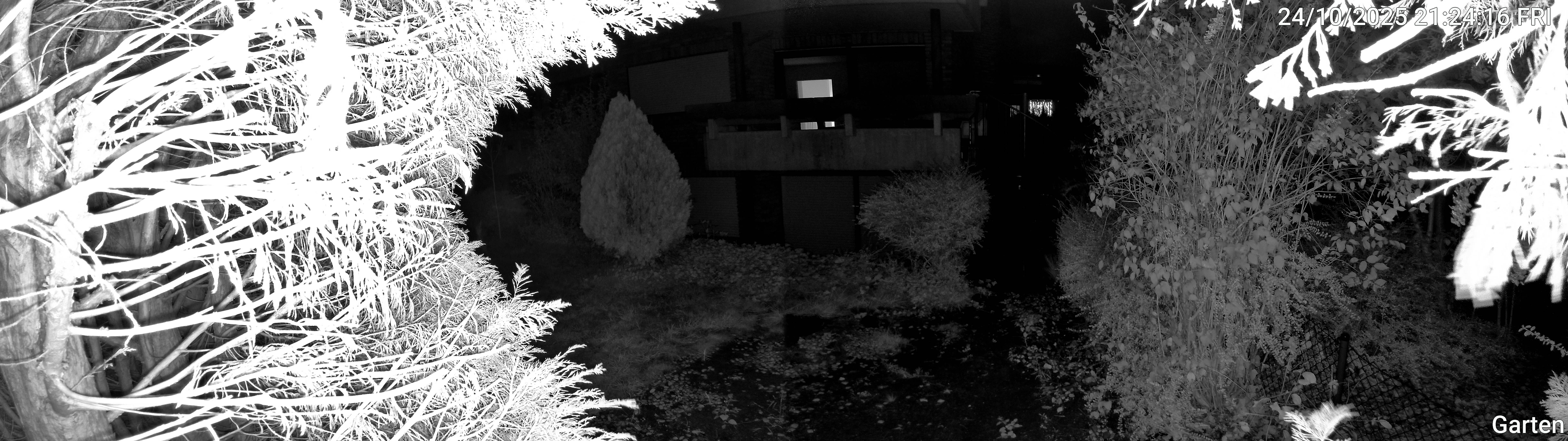 Garten_00_20251024212416.jpg
