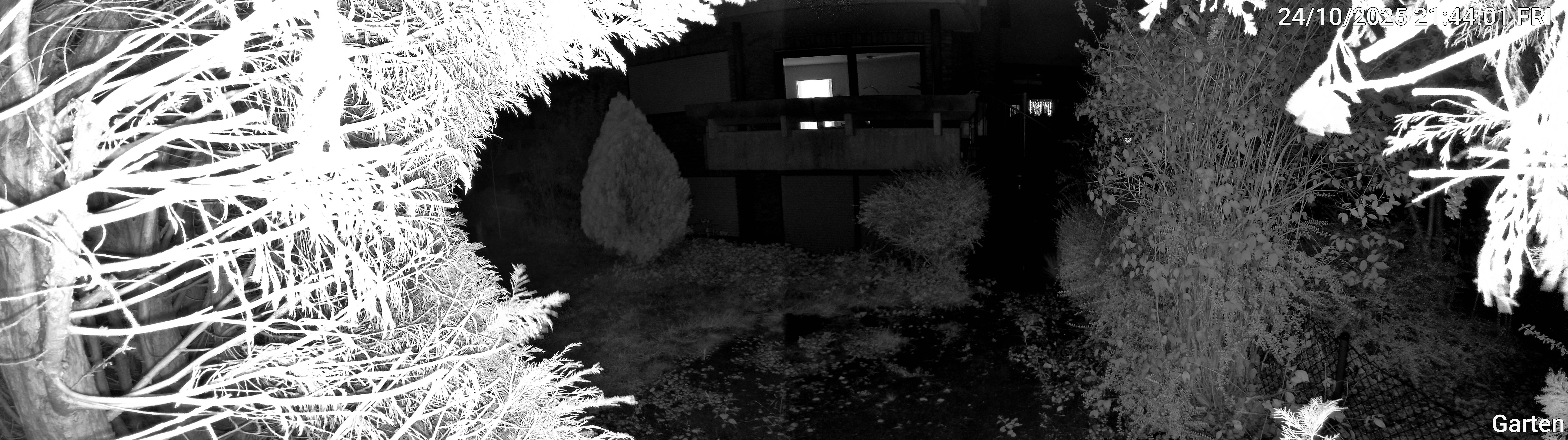 Garten_00_20251024214402.jpg