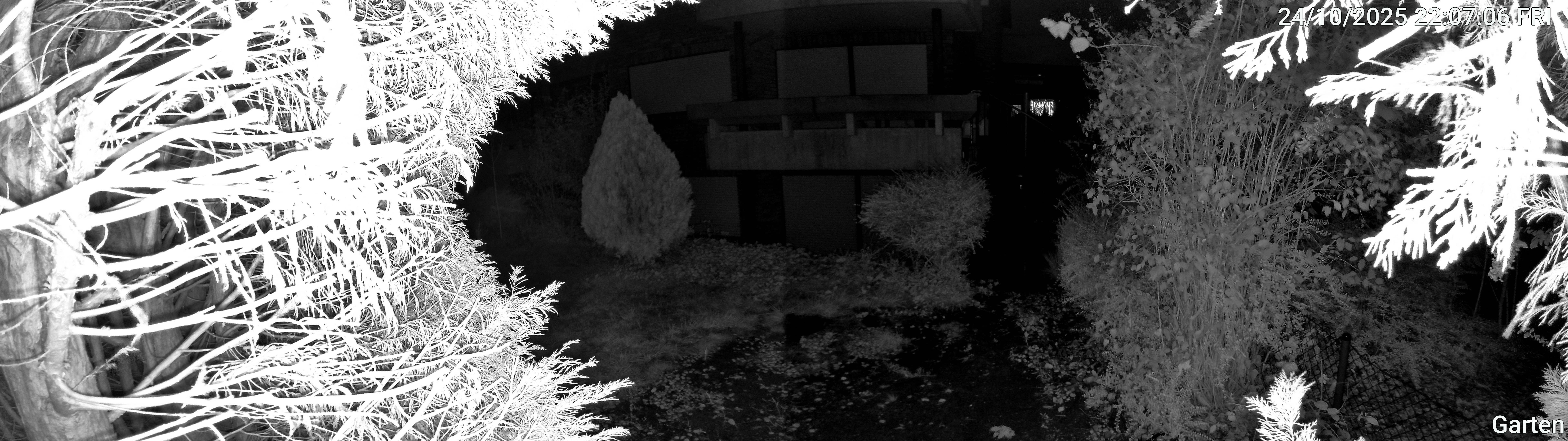 Garten_00_20251024220706.jpg