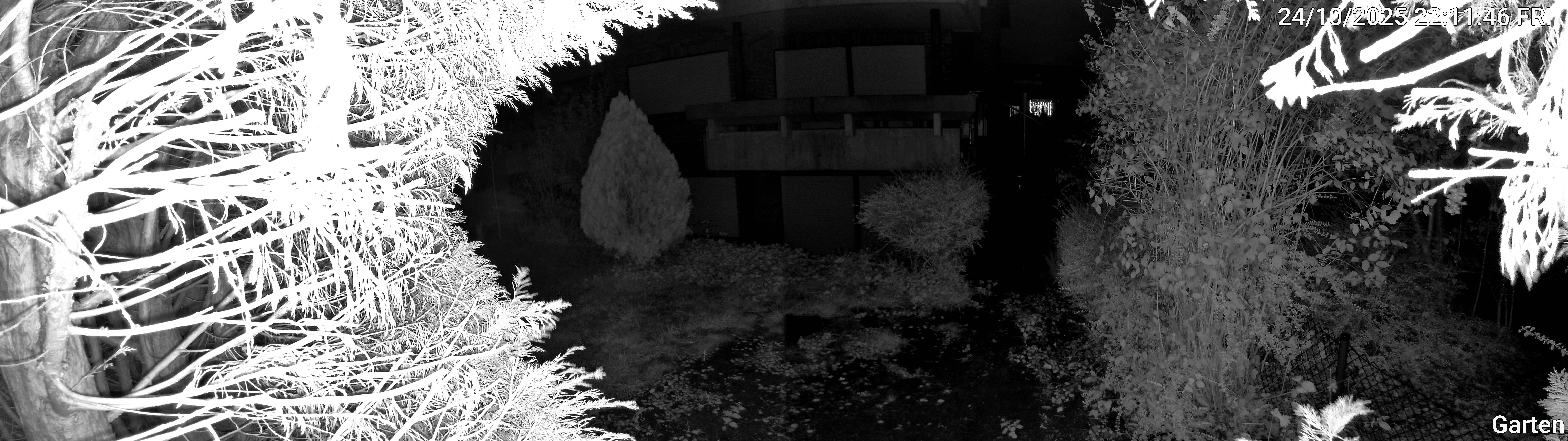 Garten_00_20251024221146.jpg