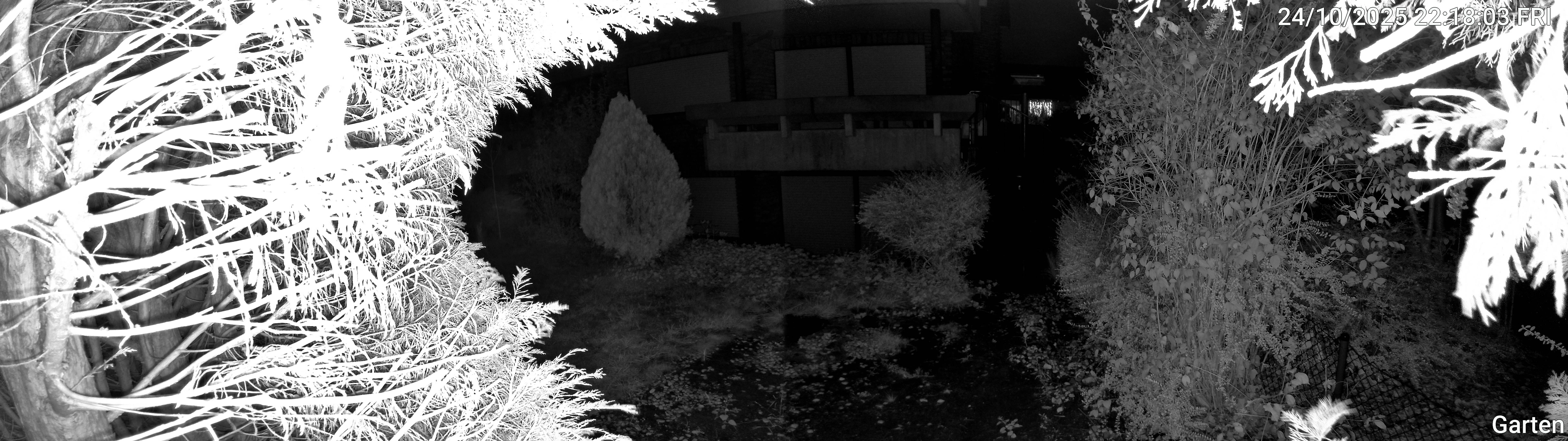 Garten_00_20251024221803.jpg