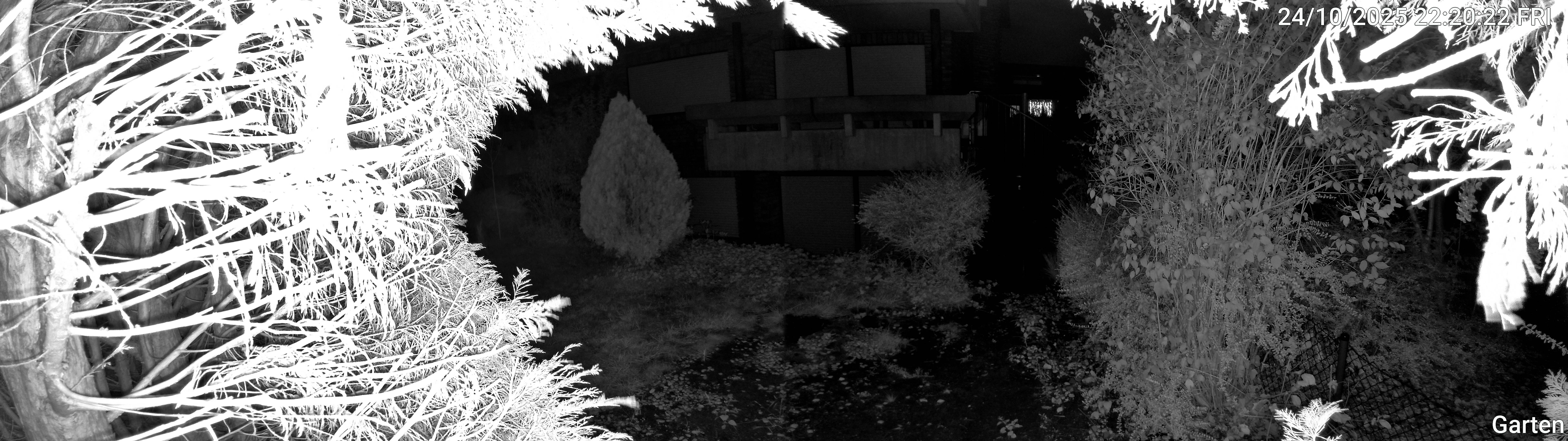 Garten_00_20251024222022.jpg