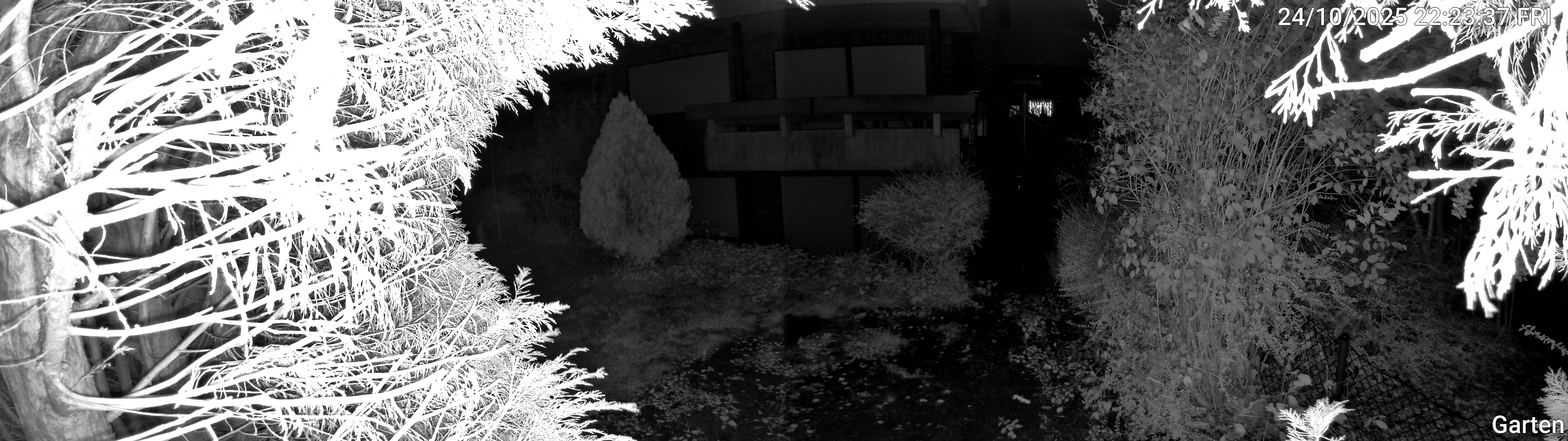 Garten_00_20251024222337.jpg