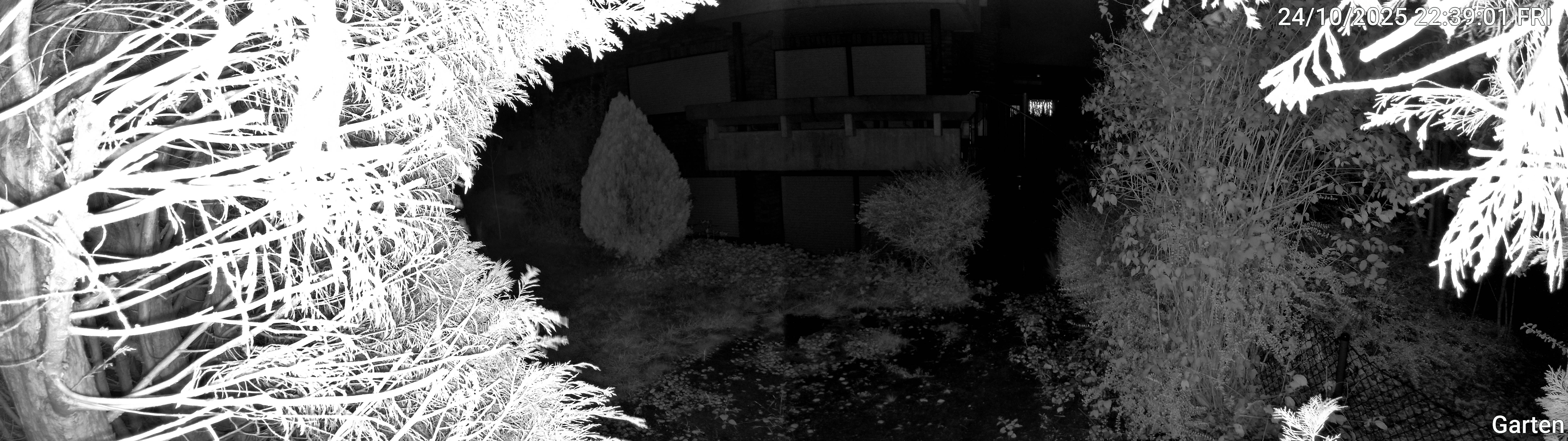 Garten_00_20251024223901.jpg