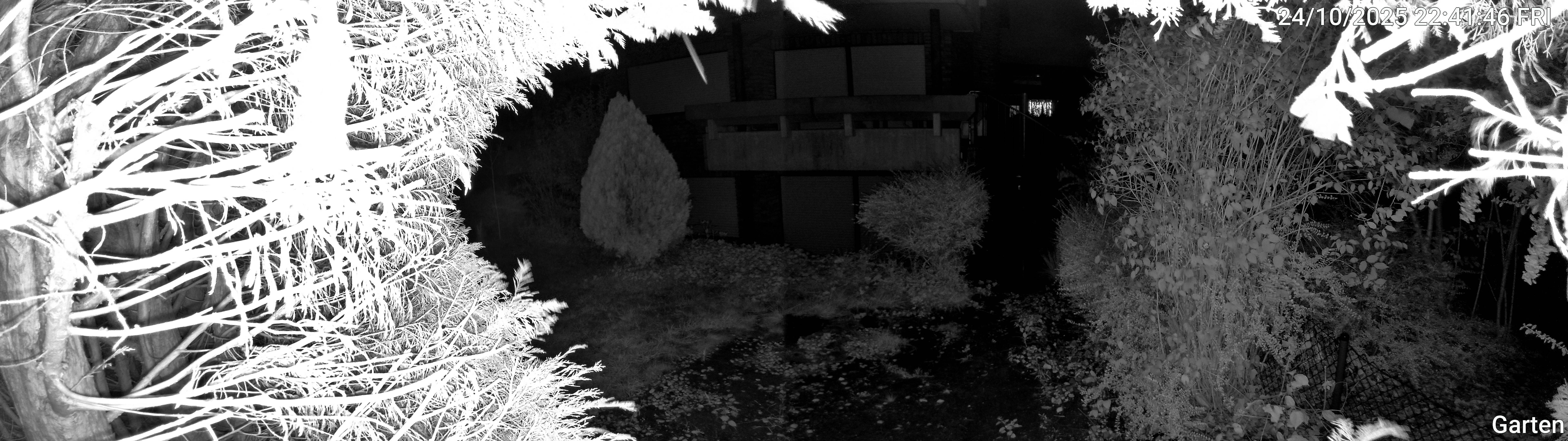 Garten_00_20251024224146.jpg