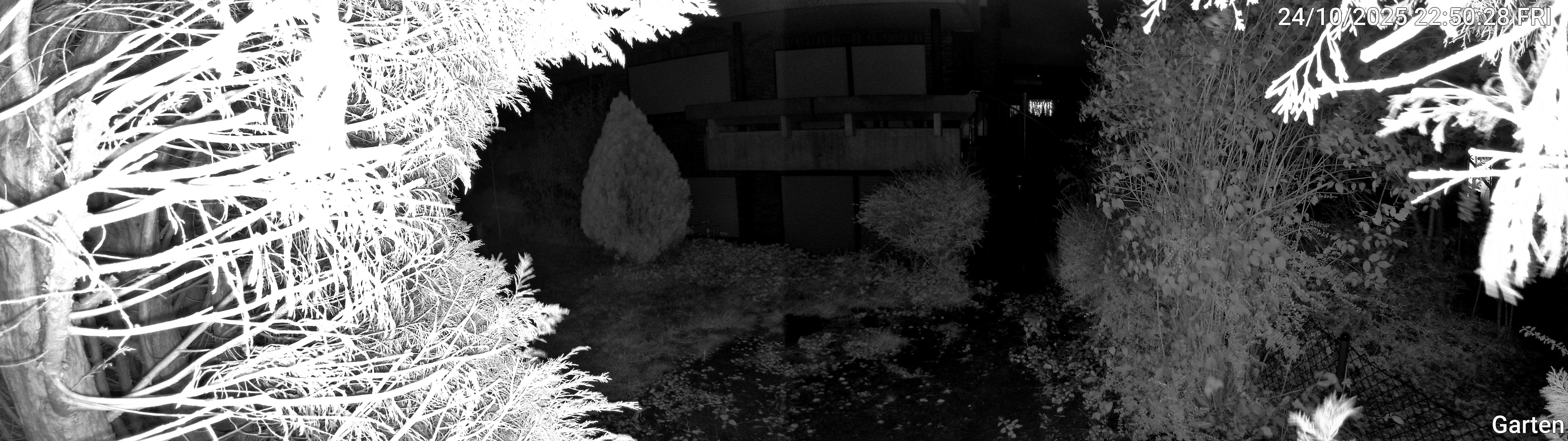 Garten_00_20251024225028.jpg