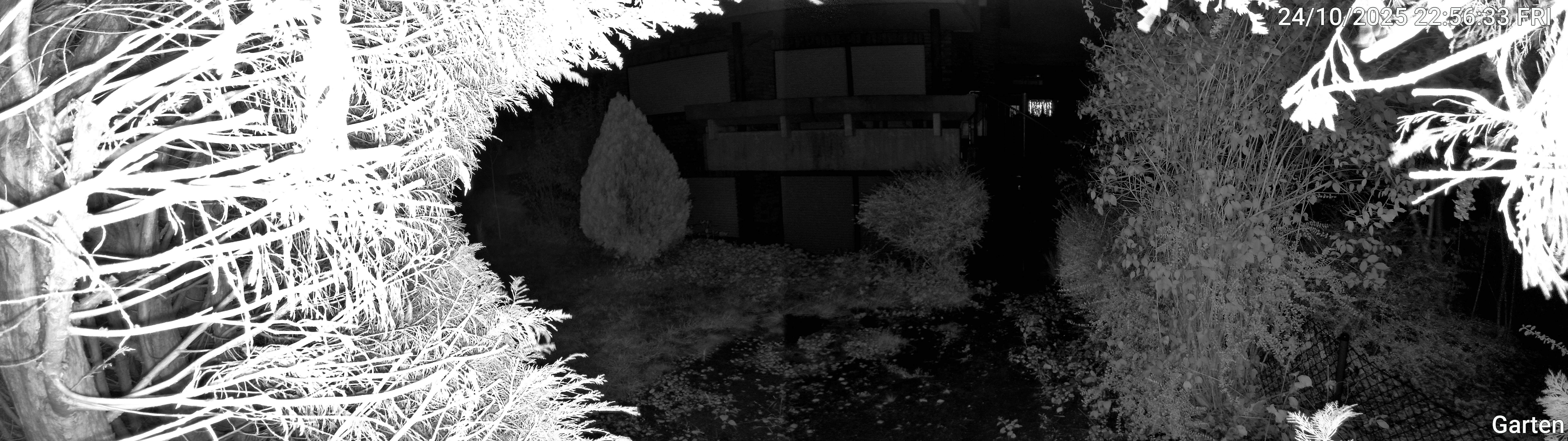 Garten_00_20251024225633.jpg