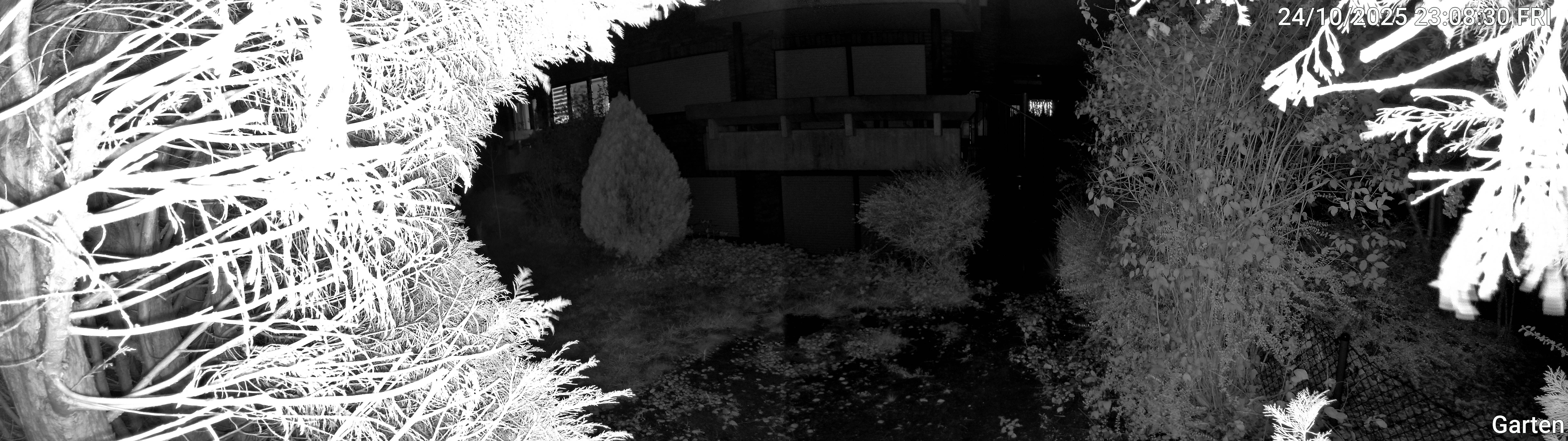 Garten_00_20251024230831.jpg