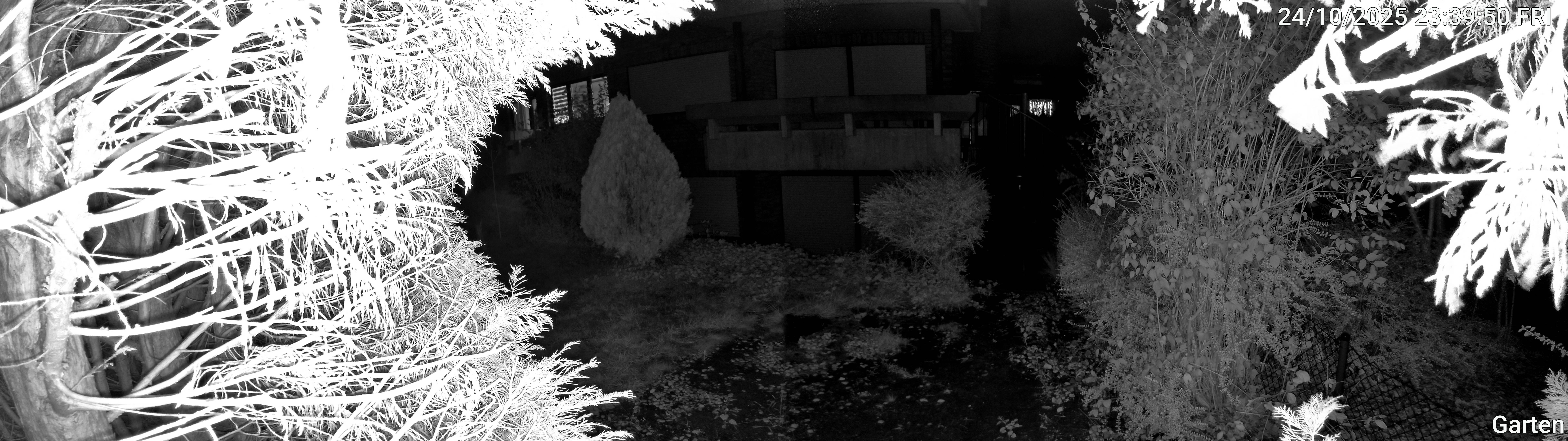 Garten_00_20251024233950.jpg