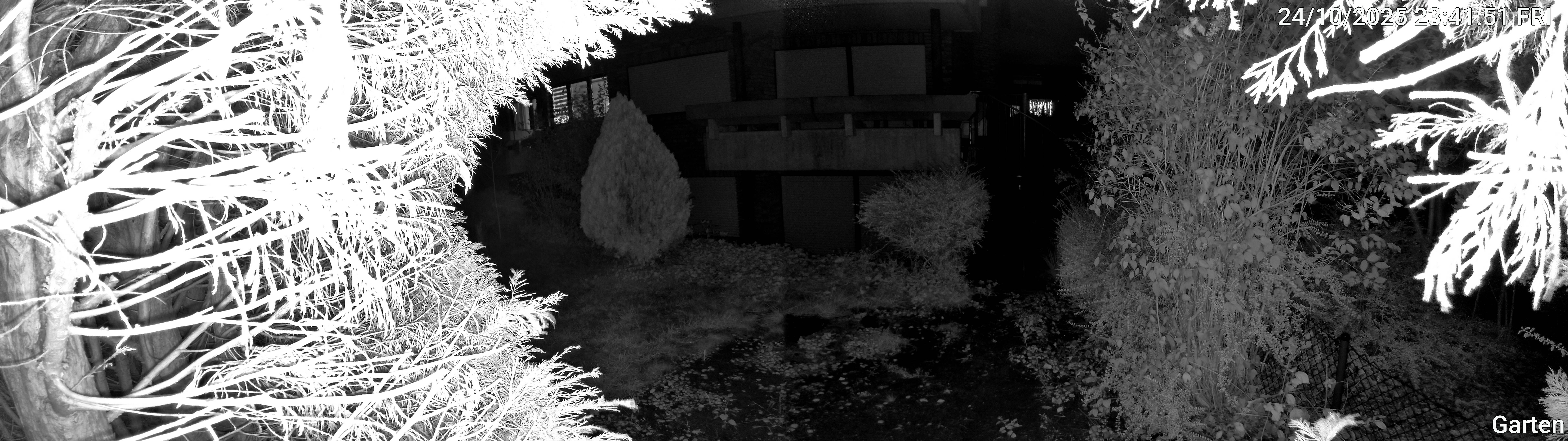 Garten_00_20251024234151.jpg