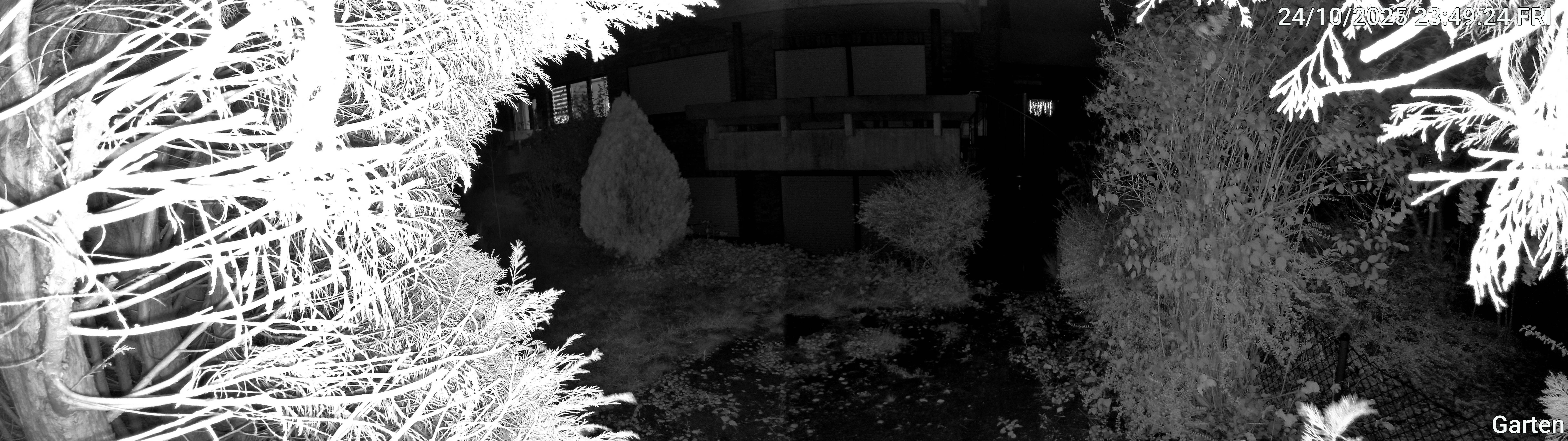 Garten_00_20251024234924.jpg