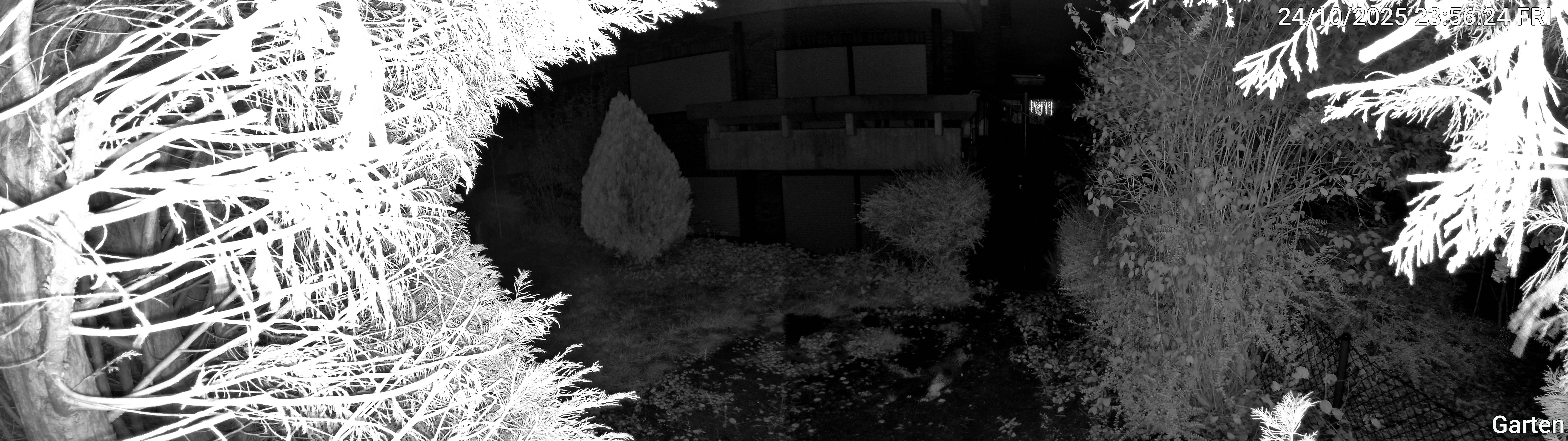 Garten_00_20251024235625.jpg