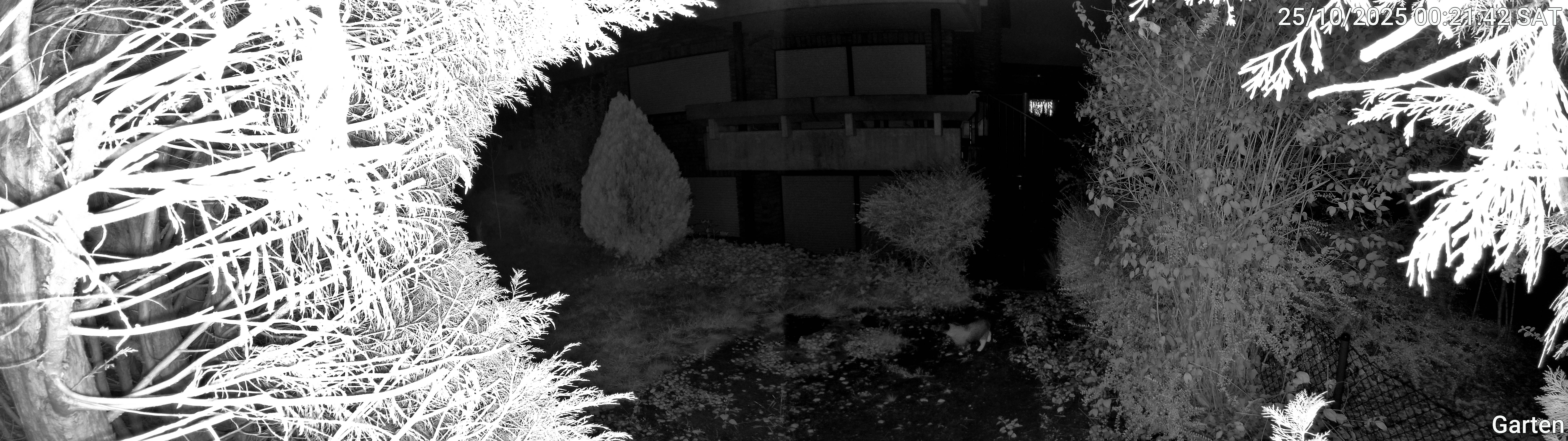 Garten_00_20251025002142.jpg