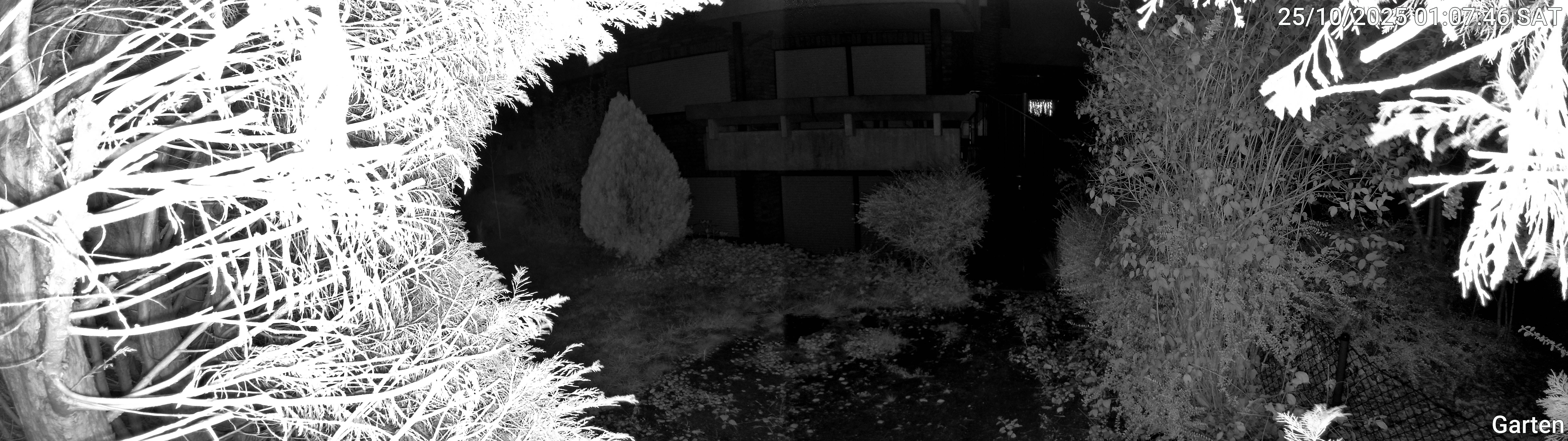 Garten_00_20251025010746.jpg
