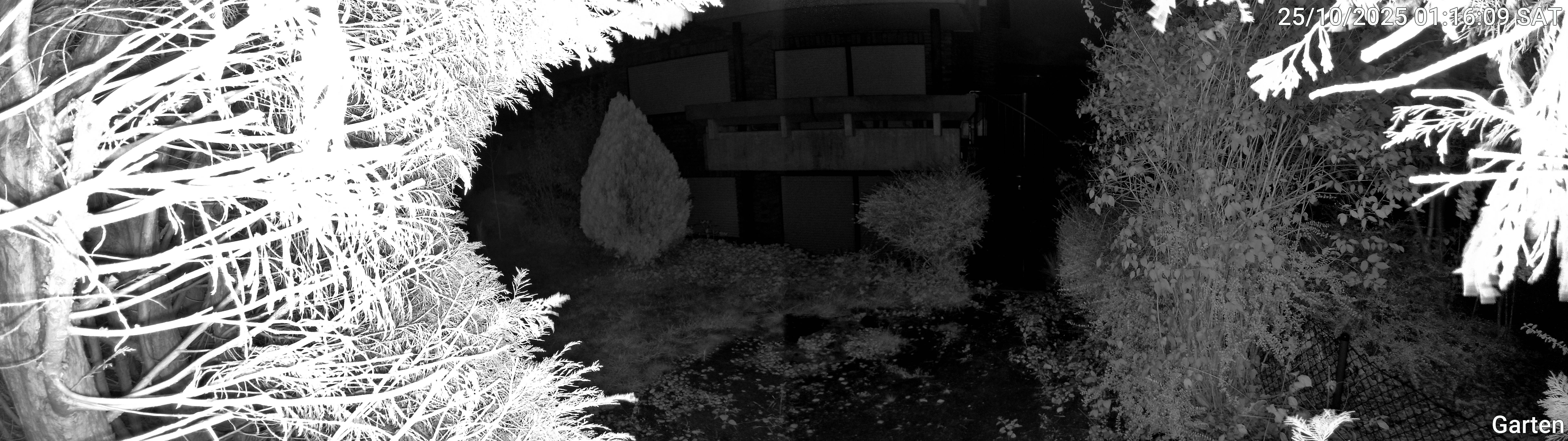 Garten_00_20251025011609.jpg
