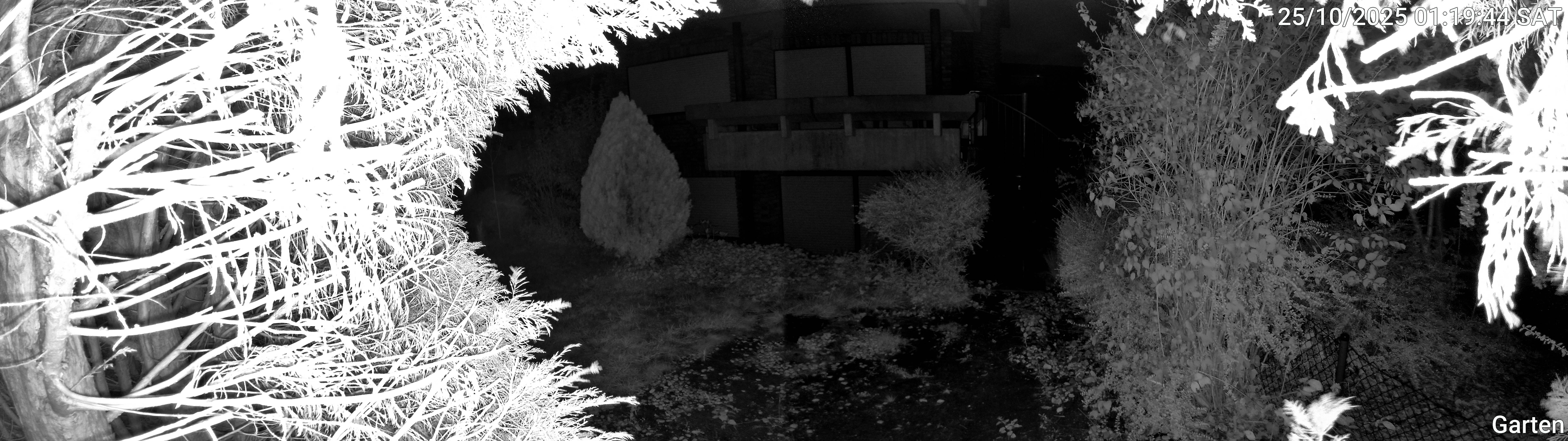 Garten_00_20251025011944.jpg