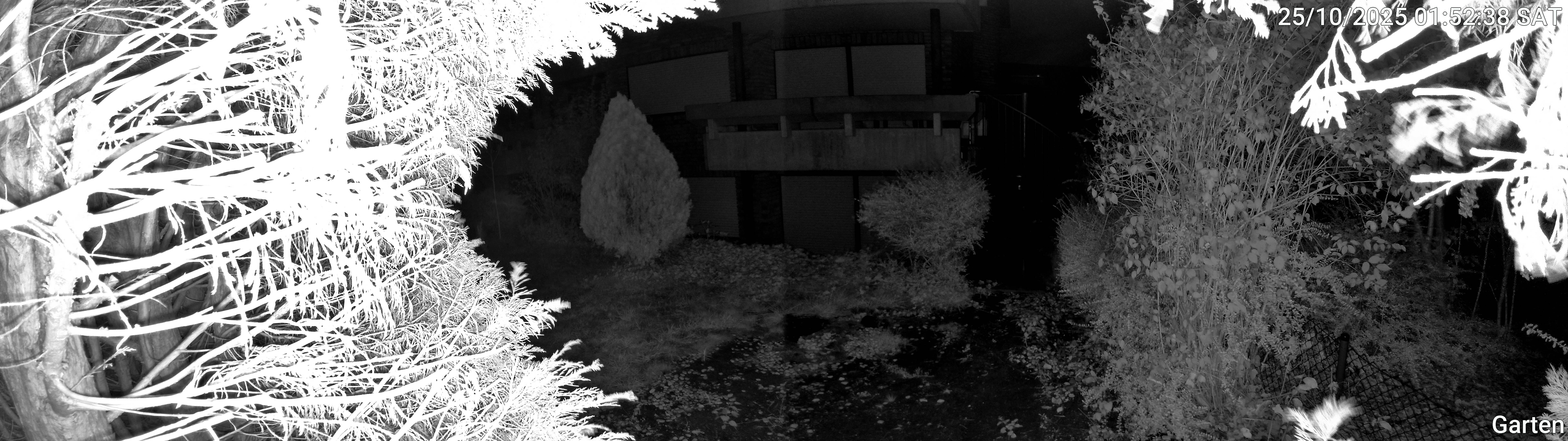 Garten_00_20251025015238.jpg
