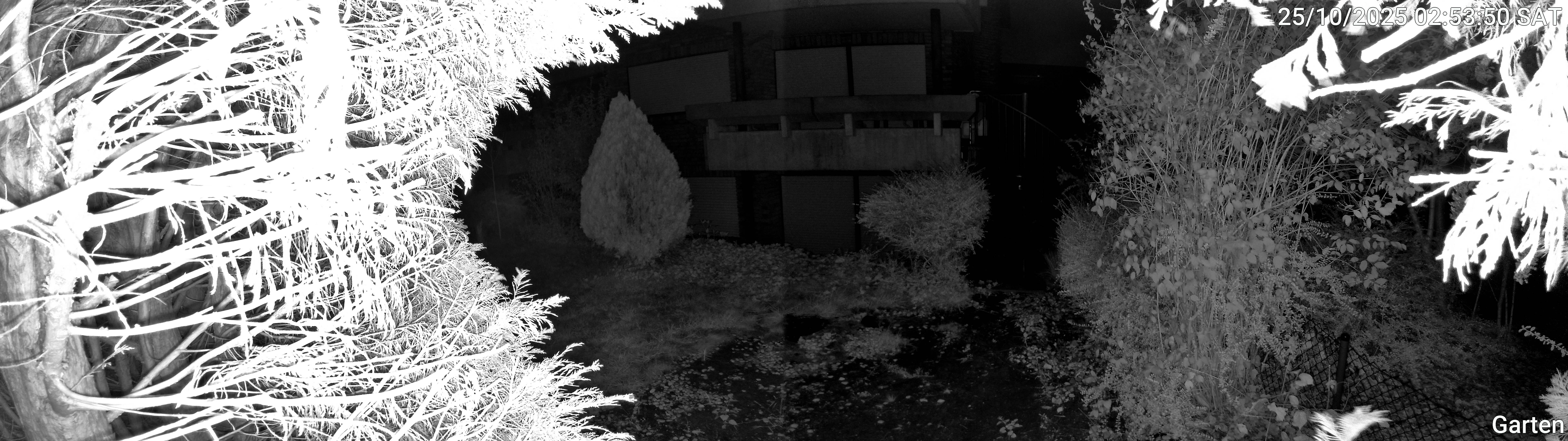Garten_00_20251025025350.jpg