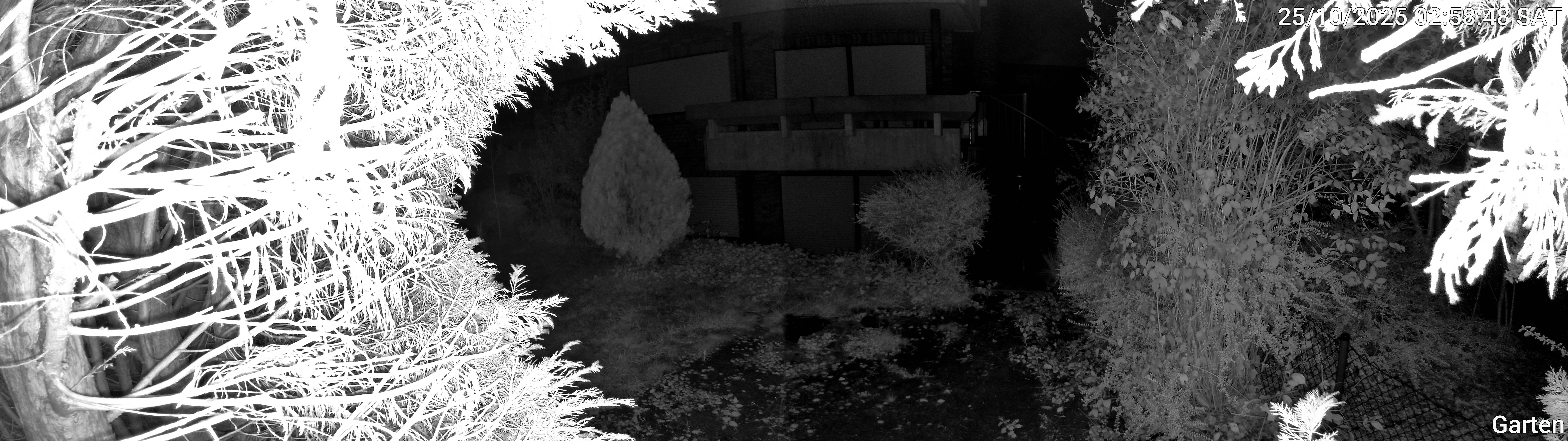 Garten_00_20251025025848.jpg