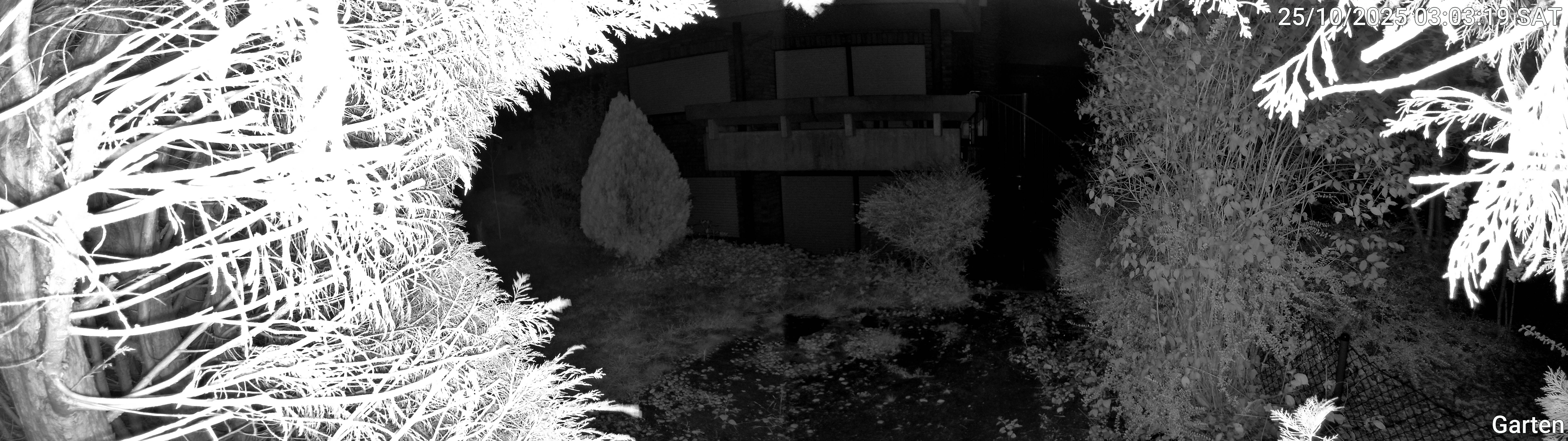 Garten_00_20251025030319.jpg