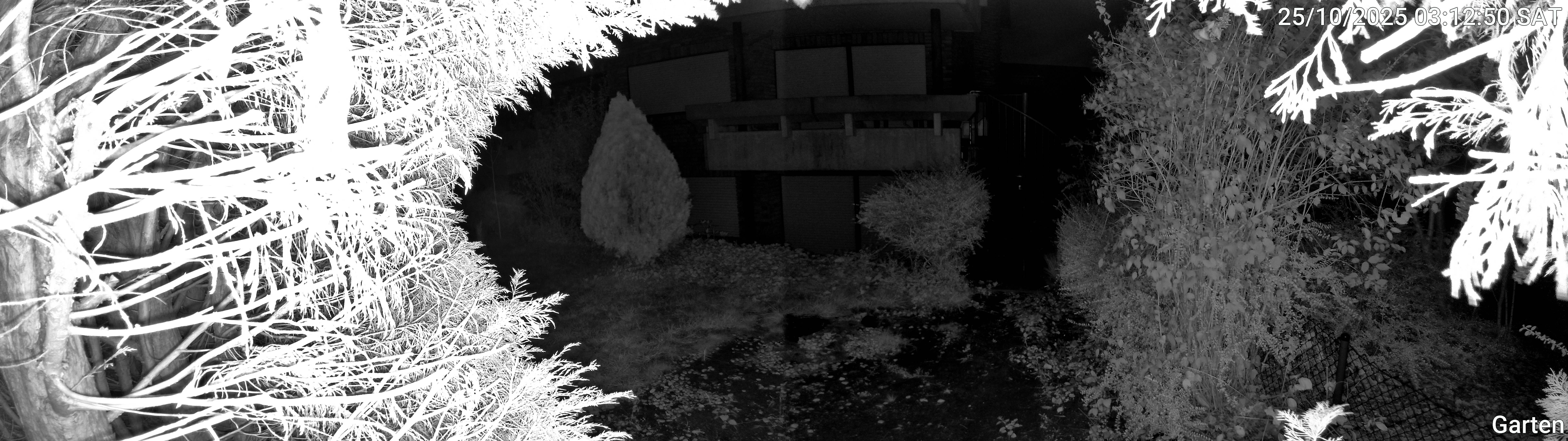 Garten_00_20251025031250.jpg