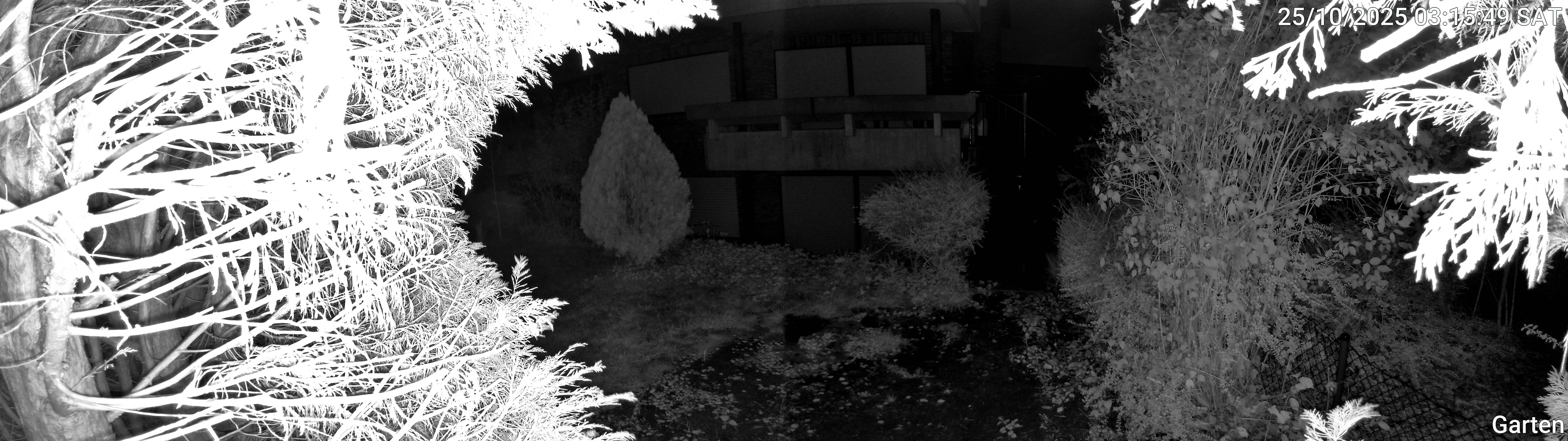 Garten_00_20251025031549.jpg