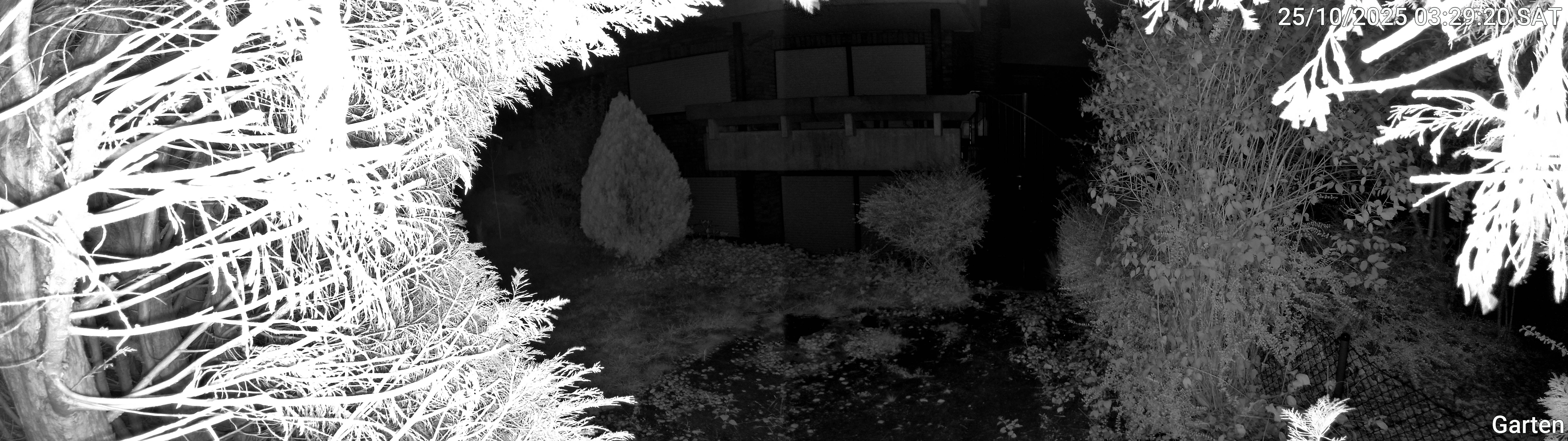 Garten_00_20251025032920.jpg
