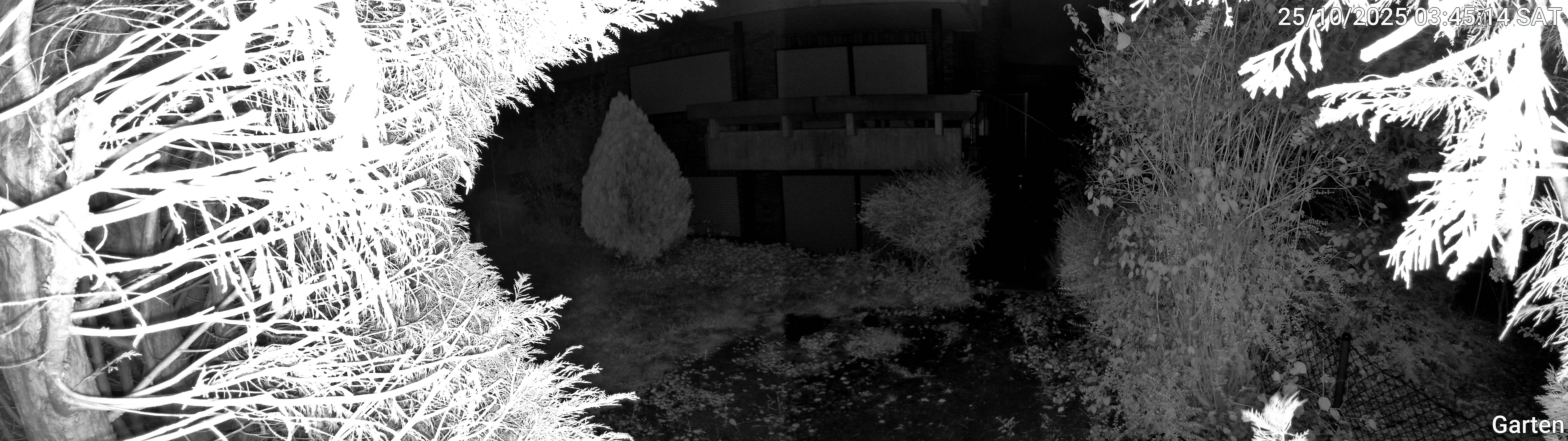 Garten_00_20251025034514.jpg