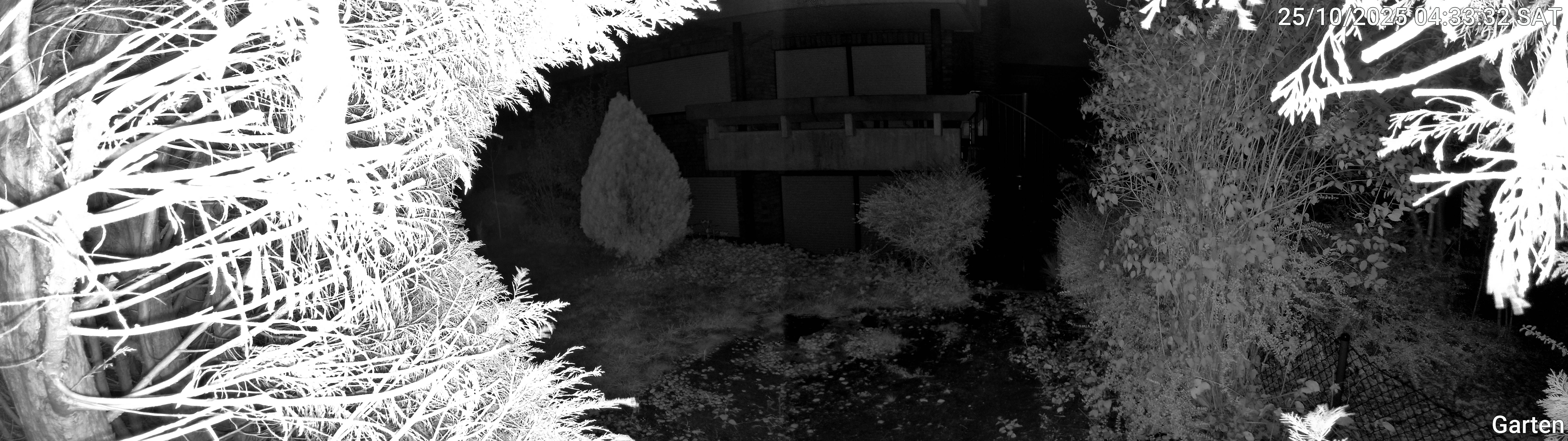 Garten_00_20251025043332.jpg