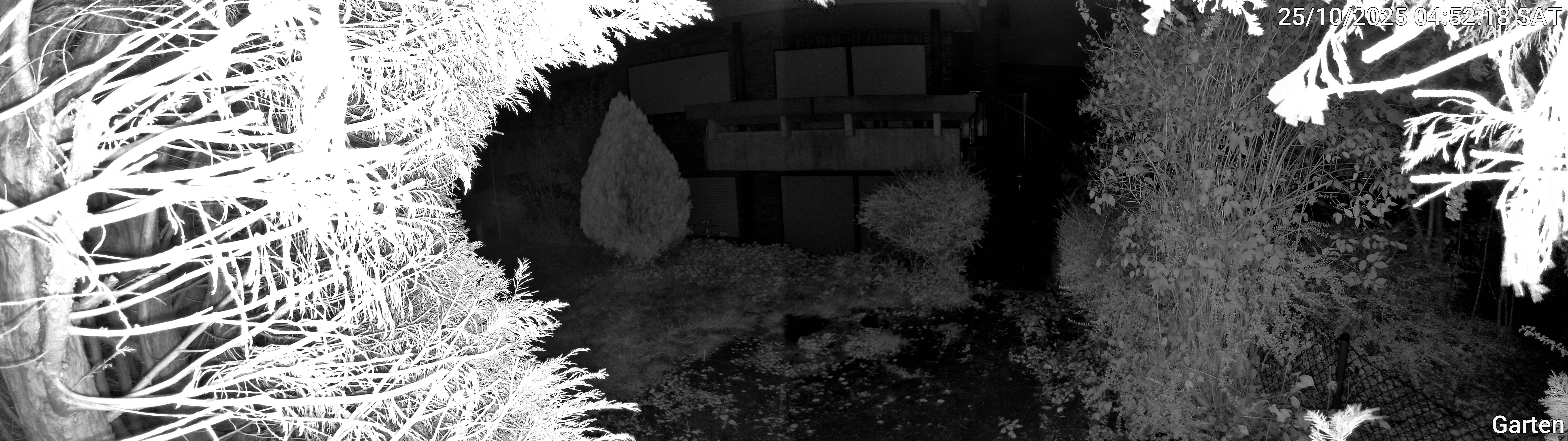 Garten_00_20251025045219.jpg
