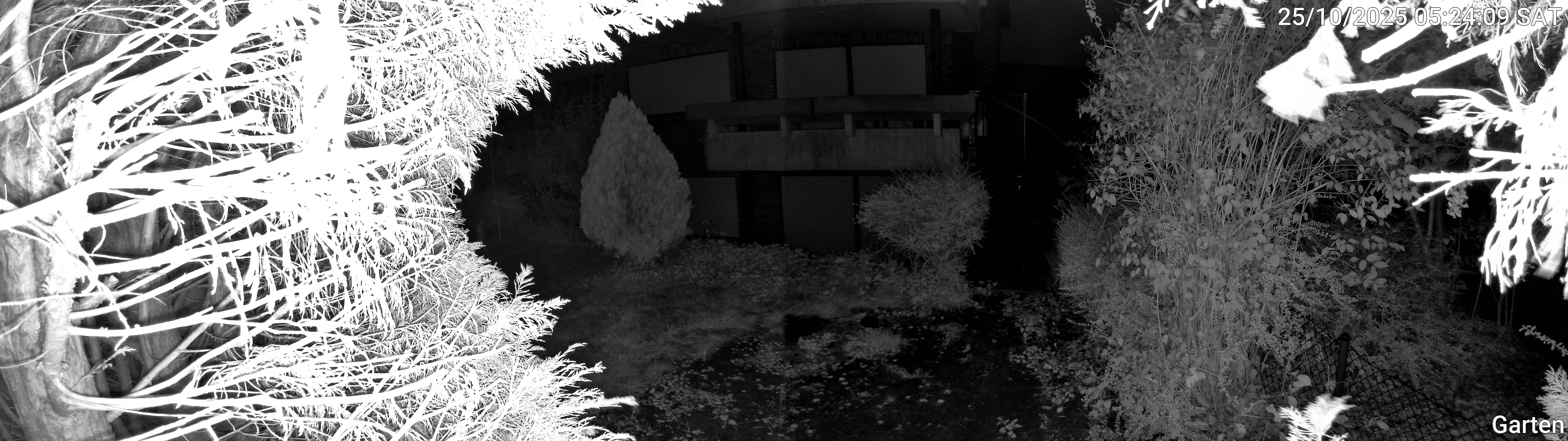 Garten_00_20251025052409.jpg