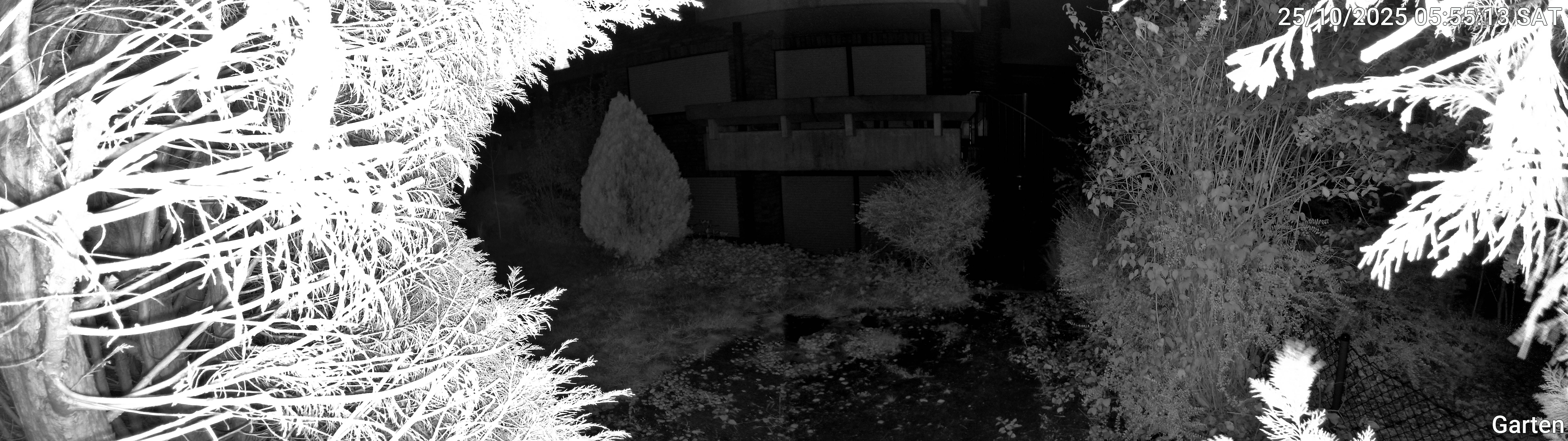 Garten_00_20251025055513.jpg
